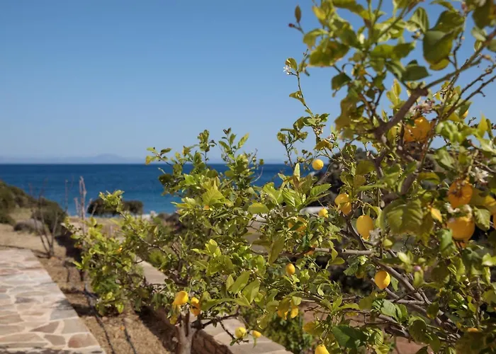 Apiliotis Sunrise 别墅 Ligaridia